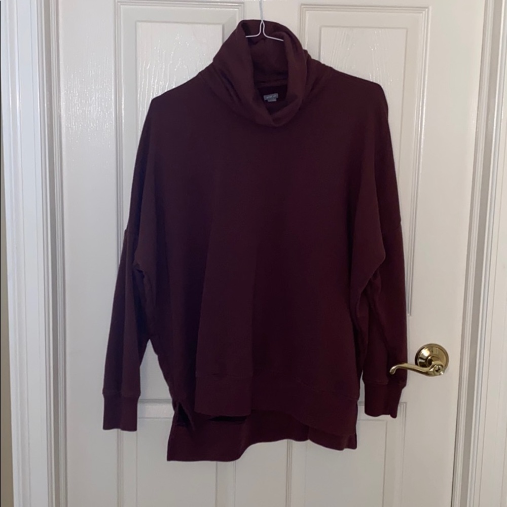 Aerie Turtleneck Sweater